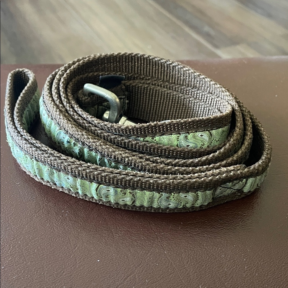 Brown and Green Dog Leash 44”